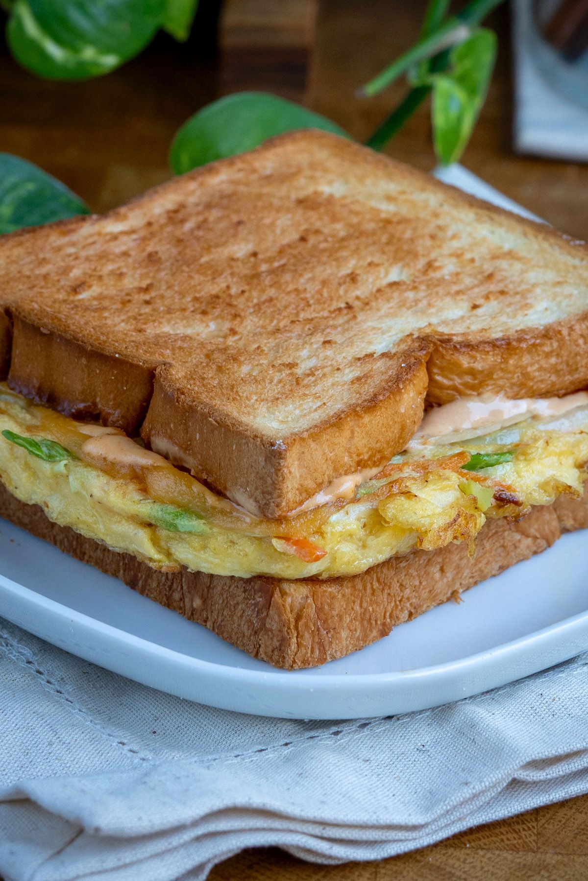 تست تخم مرغ